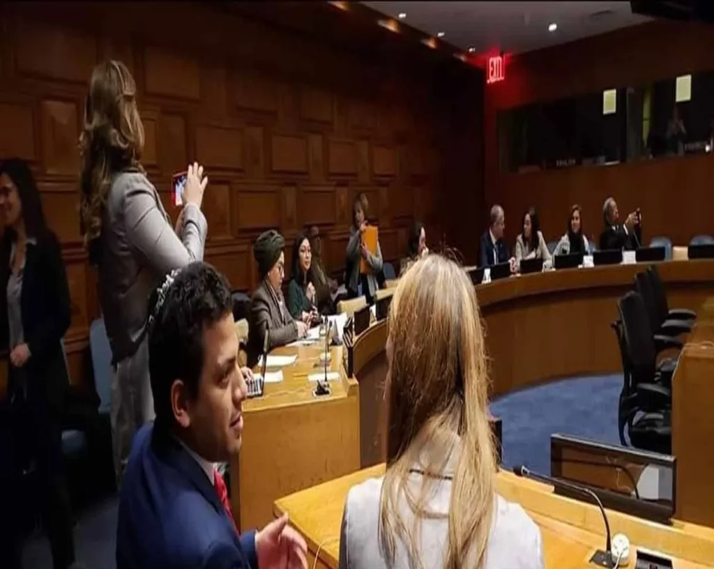 Meeting of the President of the Israel Ibero-America Chamber of Commerce at the United Nations, 2020